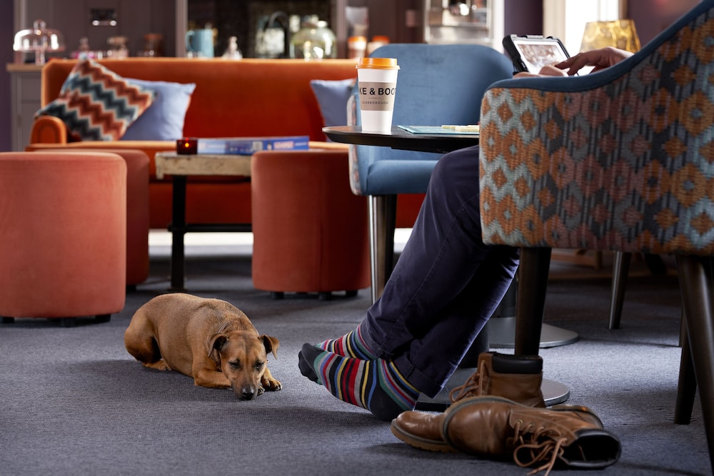 Bike & Boot Inns Scarborough - Leisure Hotels for Now 38/50