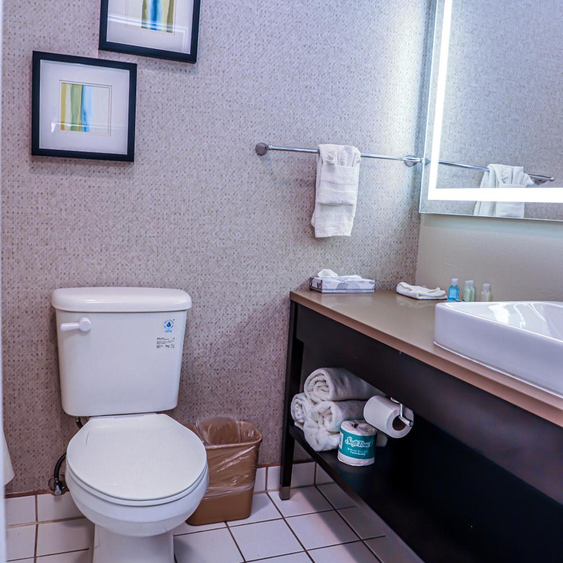 جناح بسرير كينج مع أريكة، Quality Inn & Suites Camarillo-Oxnard 5/5