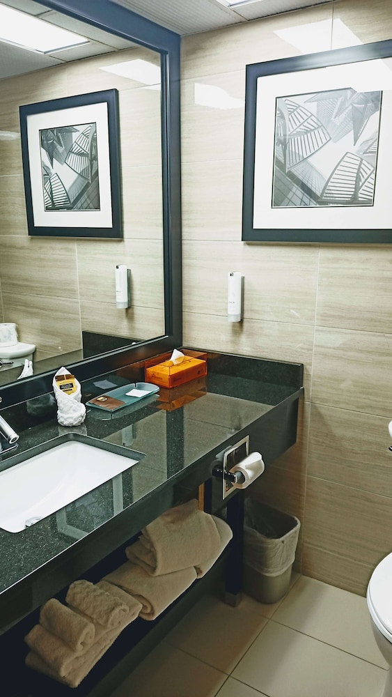 غرفة قياسية بسرير كينج مع أريكة، Village Park Inn Calgary 7/7