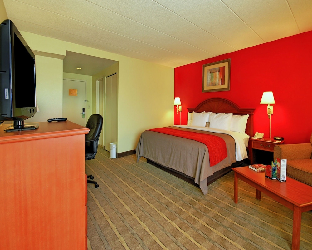 Efficiency, King Bed