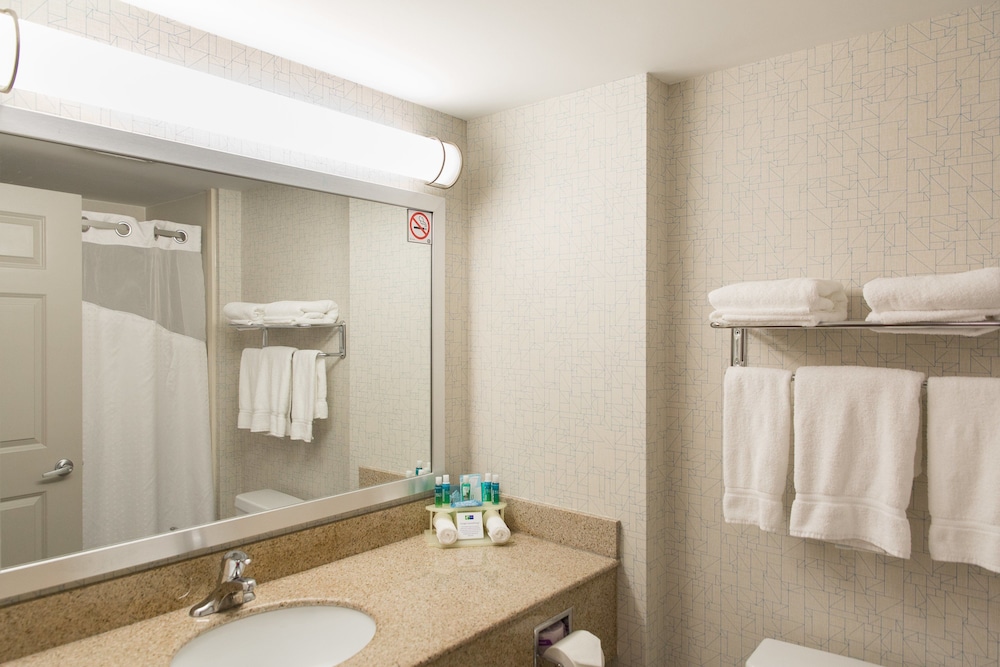 Holiday Inn Express Hotel And Suites Brampton 16/47