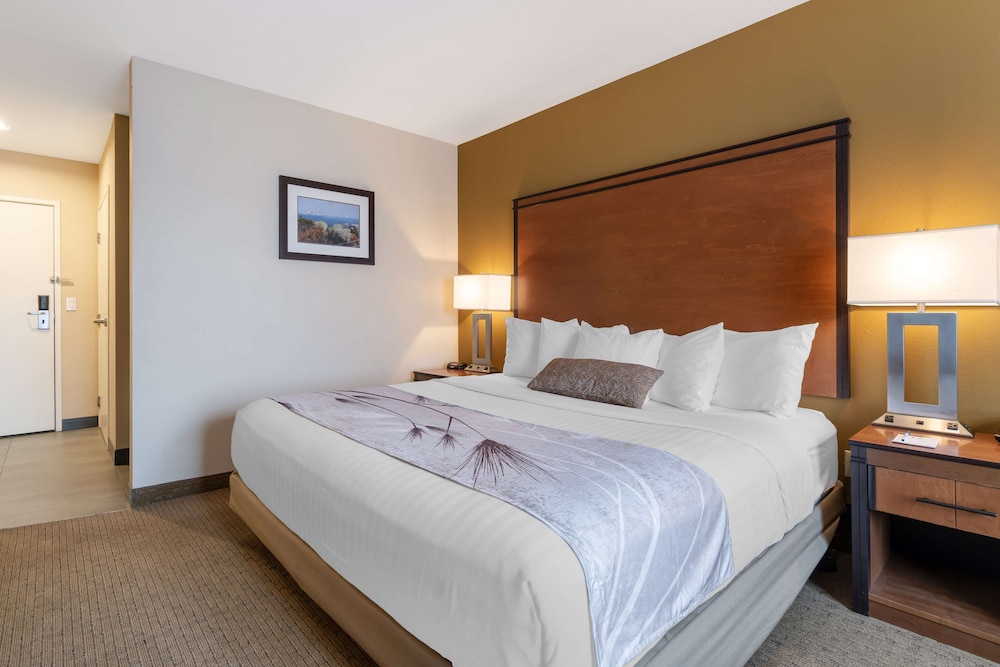 Standard, King Bed