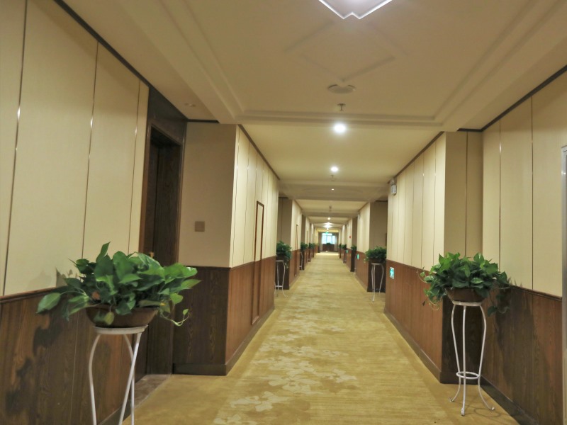 Greentree Inn Liaocheng Town Dongchang Road Zhuanpan Business Hotel 45/59