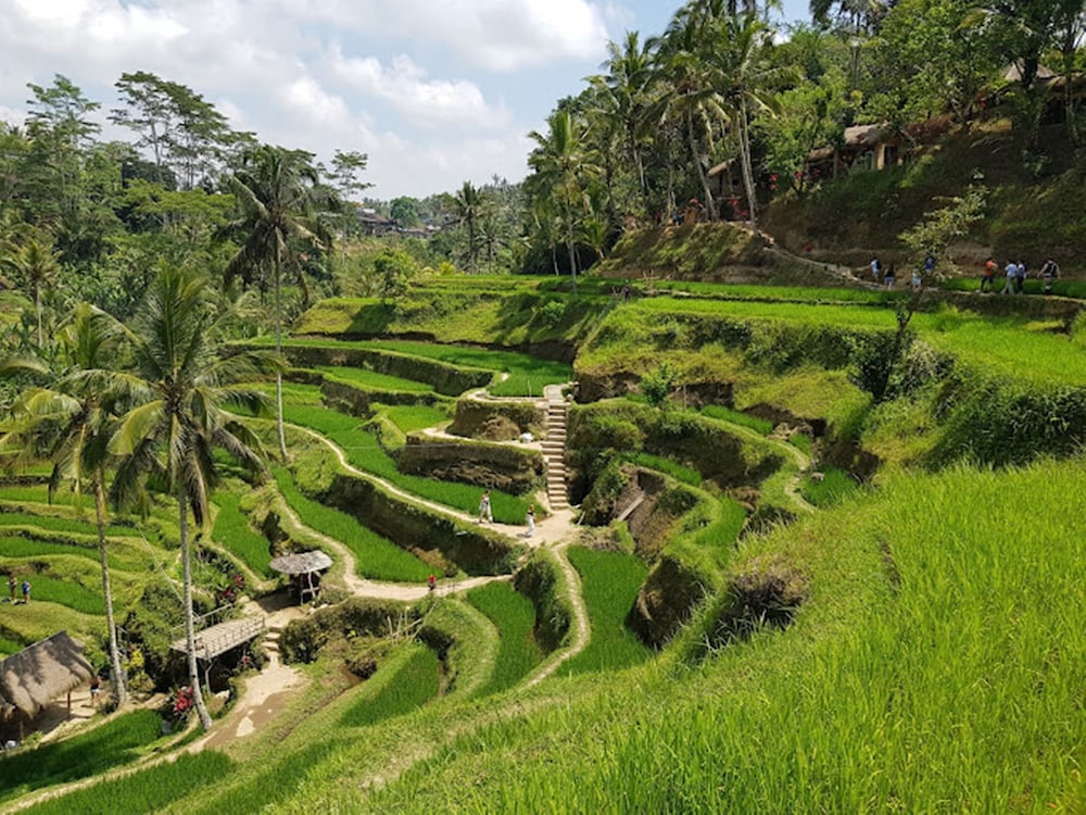 Awatara Boutique Resort Ubud 37/45