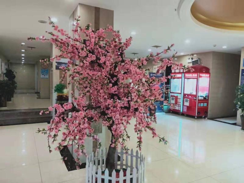 Greentree Inn Anhui Anqing Tongcheng South Shengtang Road Shengtang International Business Hotel 24/38