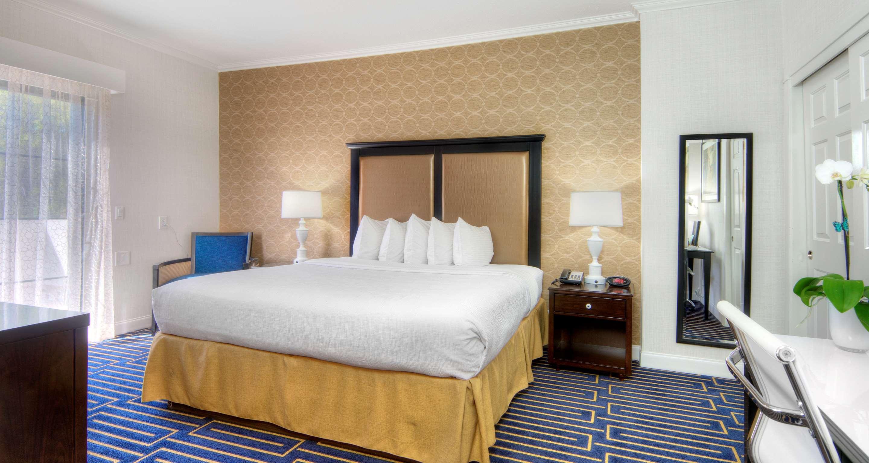 Suite, King Bed