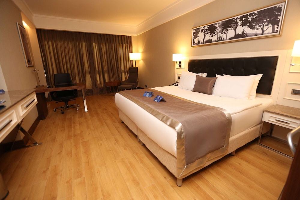 Radisson Blu Hotel Diyarbakir 15/48