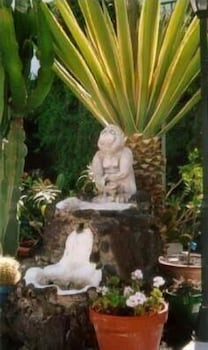 San Francisco Park Adults Only 10/12