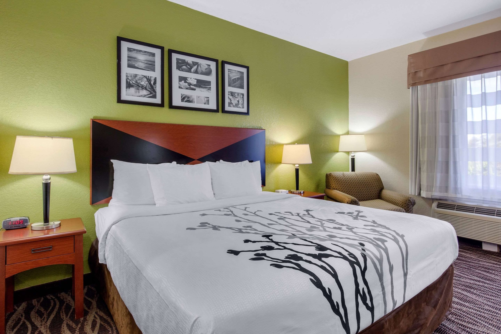 SUITE, KING BED