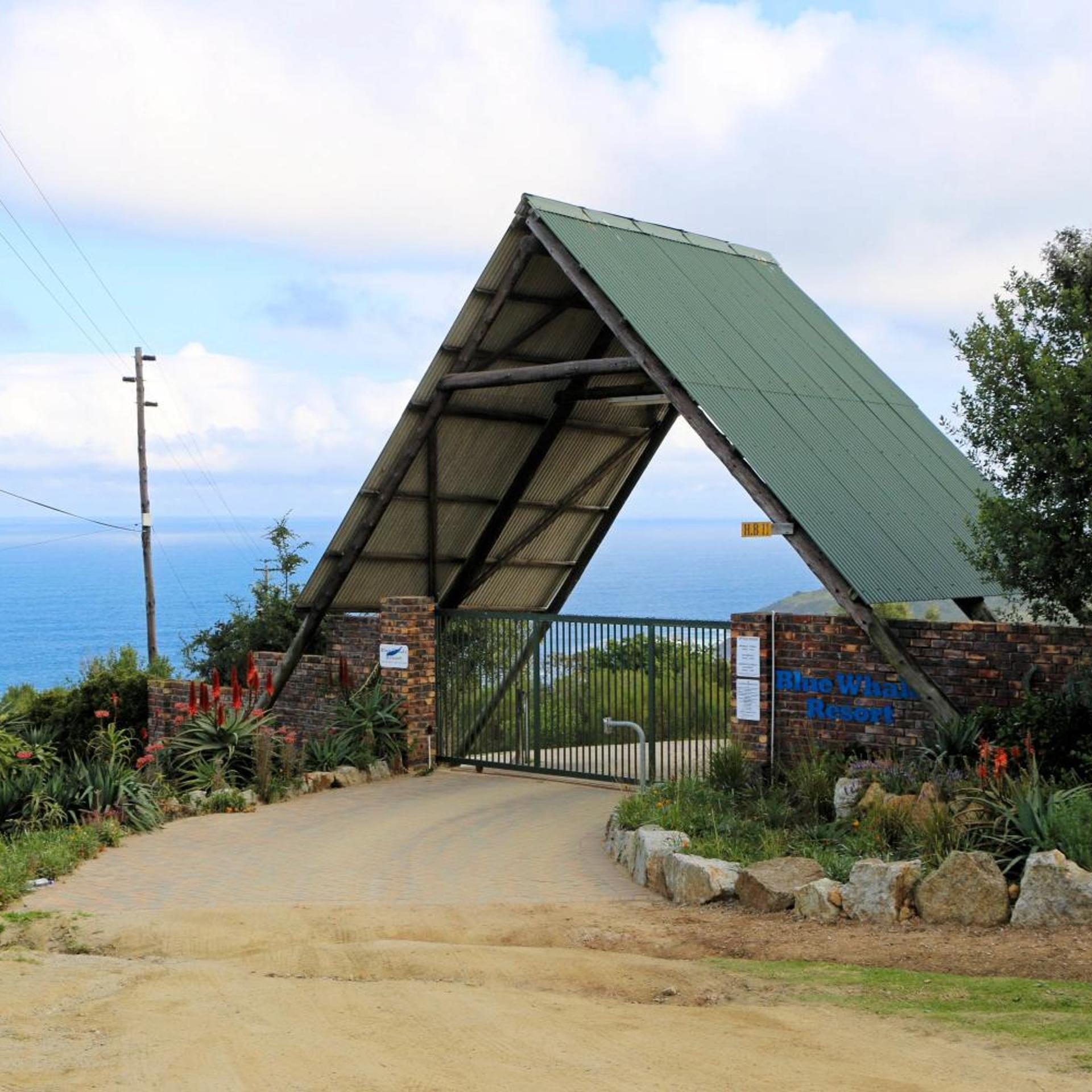 Blue Whale Resort 4/50