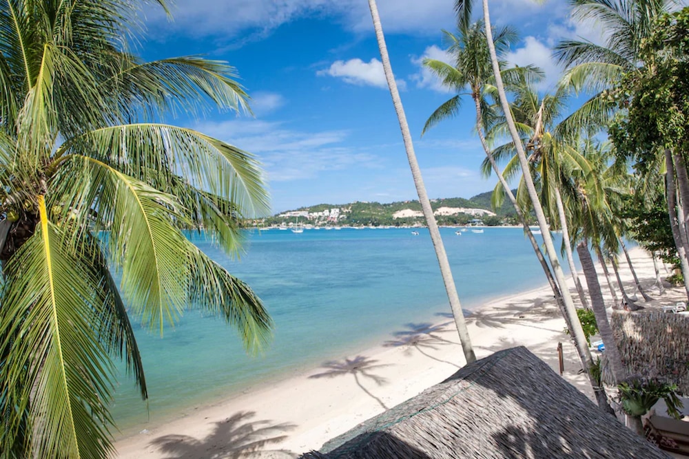 B House Samui (ex The Scent Hotel) 53/61