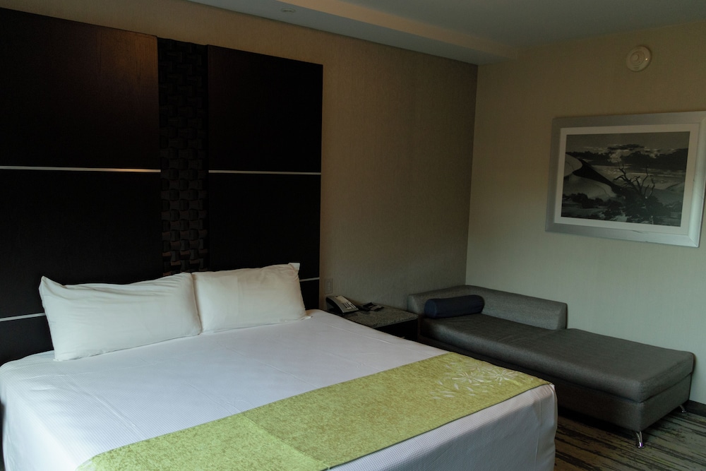 Hotel Araiza San Luis 25/74