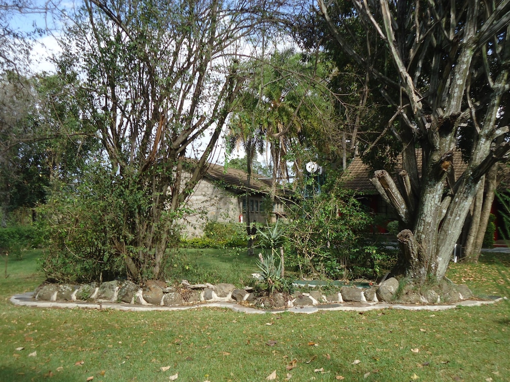 Mara River Lodge 44/50