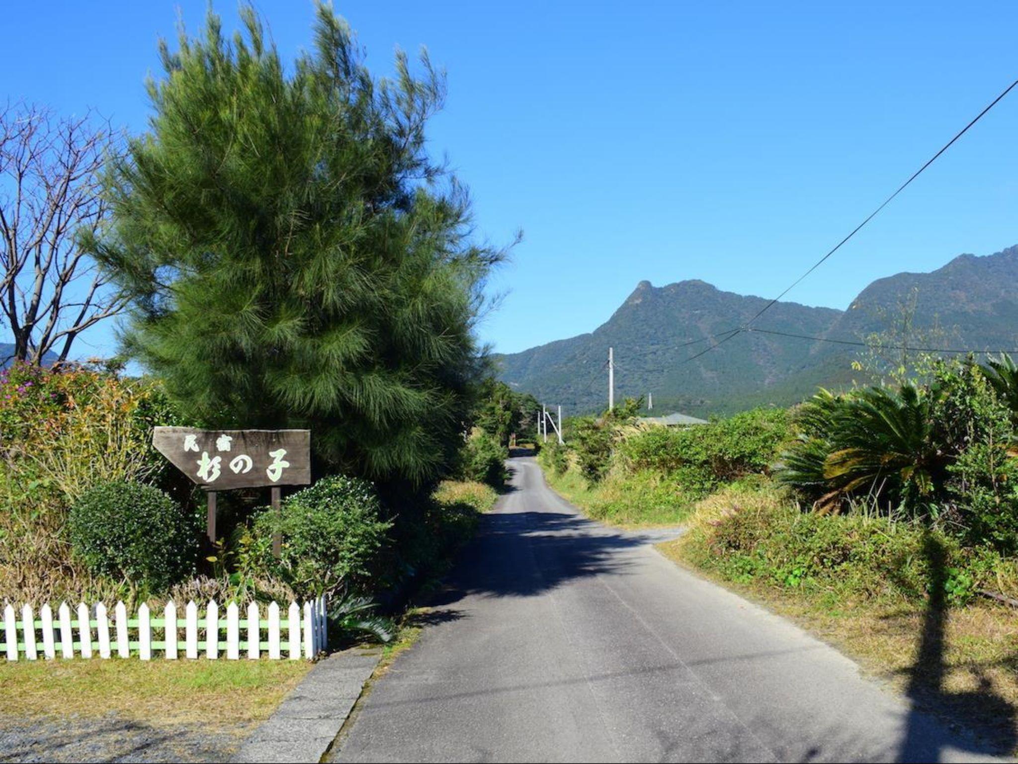 Yakushima Guesthouse Suginoko 30/36