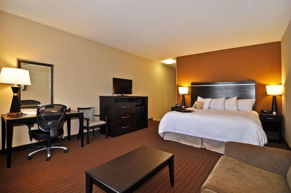 Studio, King Bed, Sofa, Accessible
