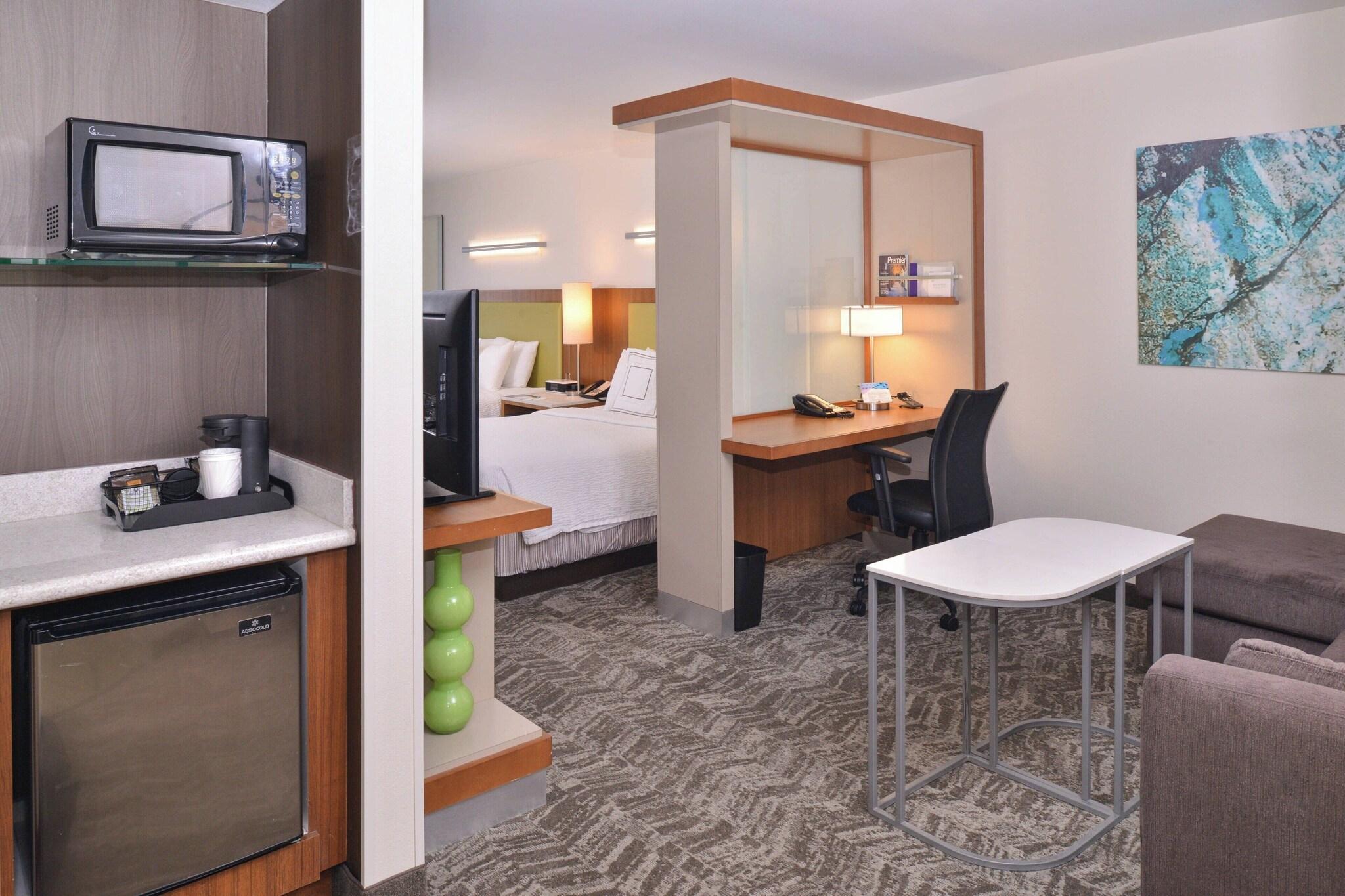 استوديو لذوي الإعاقة، Springhill Suites By Marriott 3/3