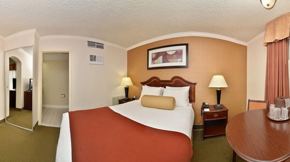 Best Western Galleria Inn & Suites 18/30