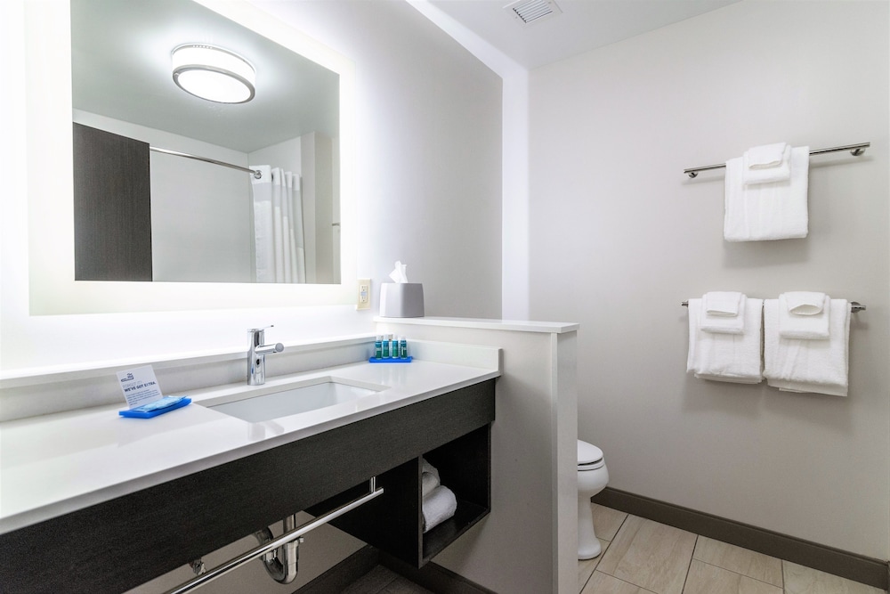 Holiday Inn Express Suites Allen Park 58/72