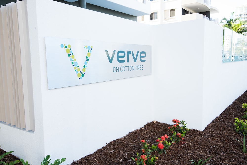 Verve On Cotton Tree 6/50