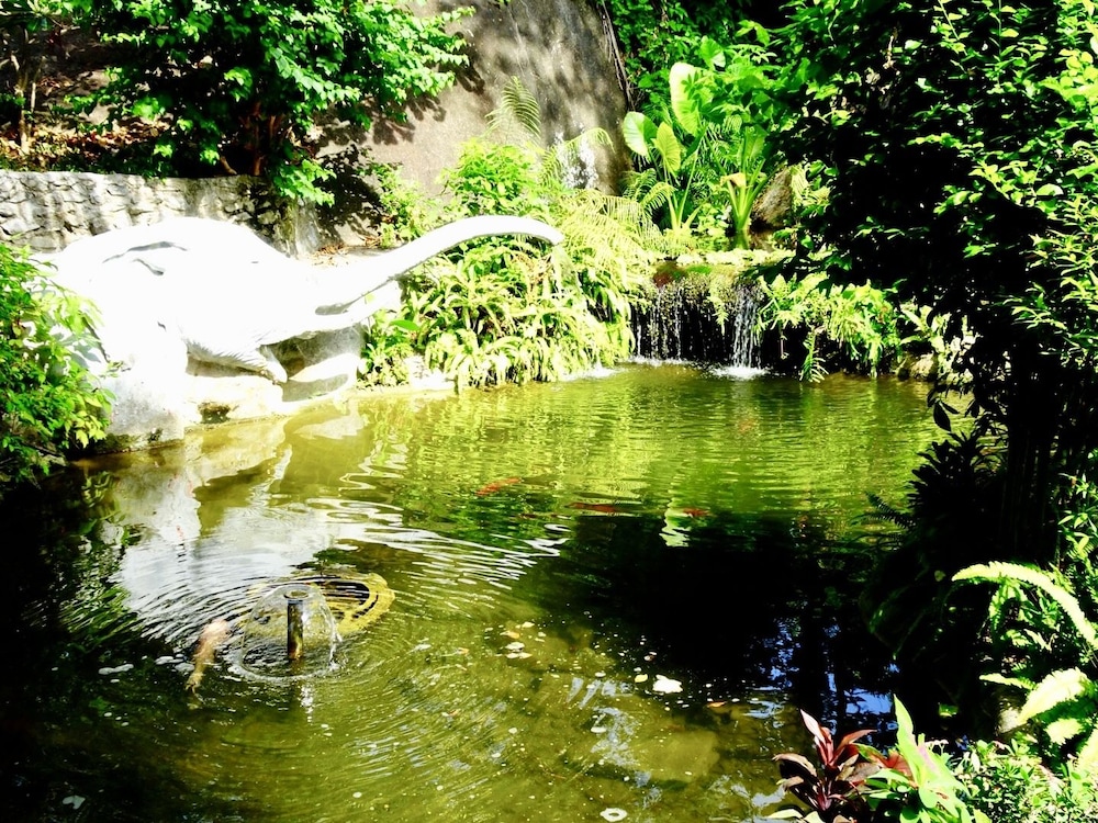 Starbay Samui 39/50