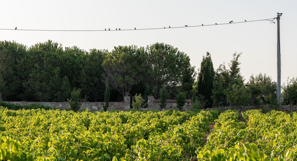 Karina Vineyard House 38/47