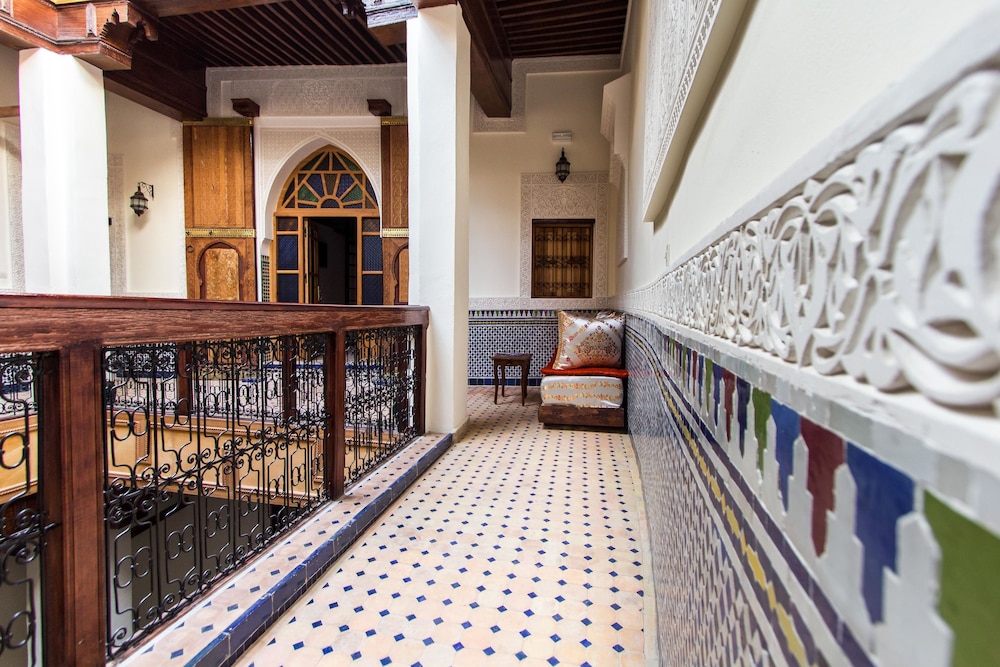 RIAD TARYANA 17/53
