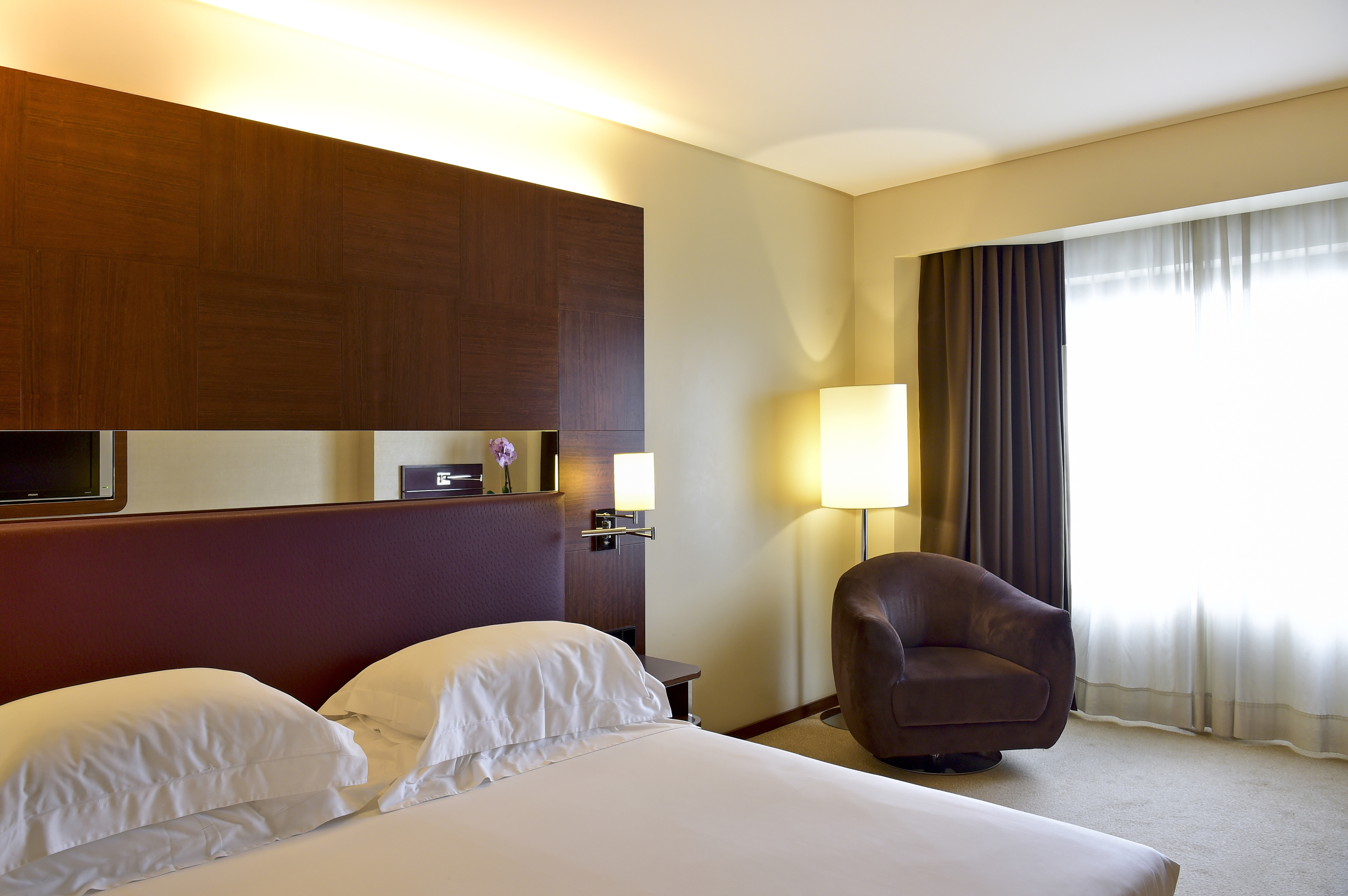Executive Room Twin for Single Use