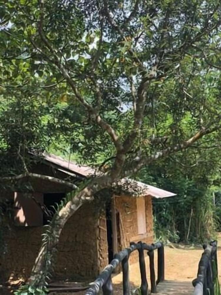 Sinharaja Rainforest View Villas 39/50