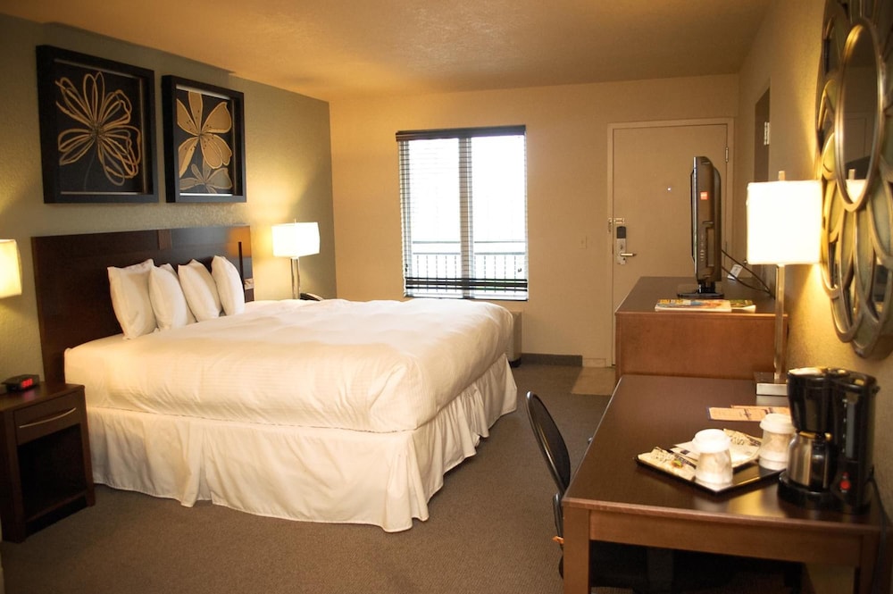 Unique Suites Hotel 28/50