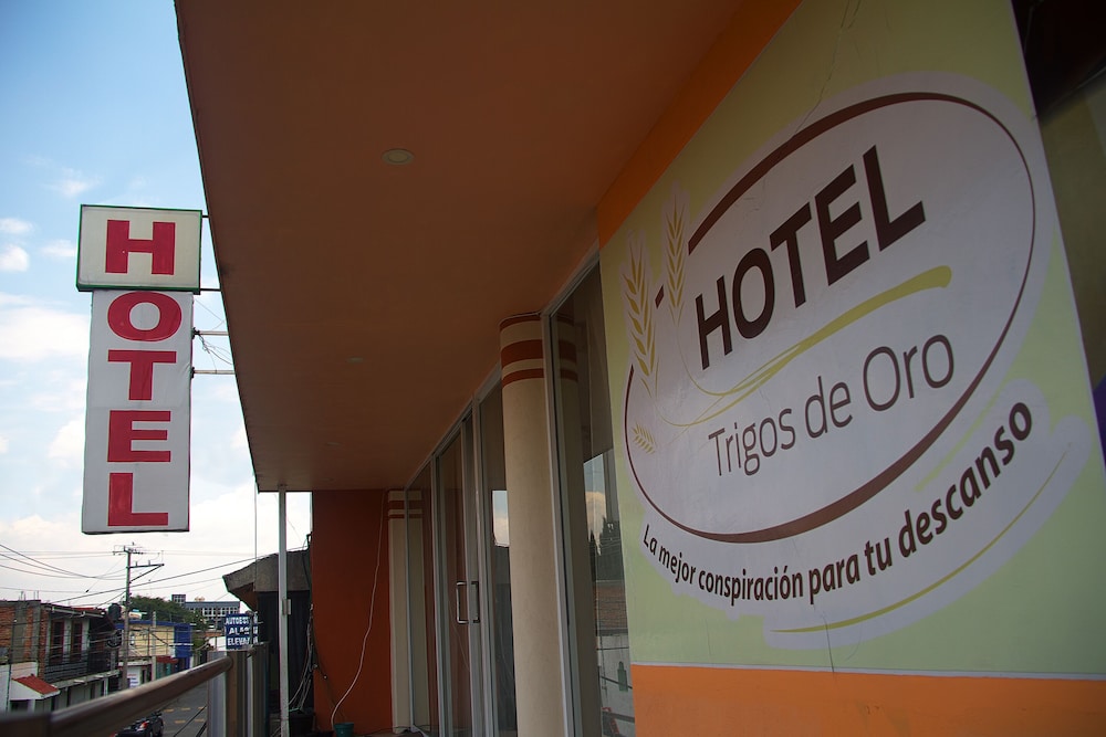 OYO Hotel Trigos De Oro San Luis Teolocholco Park 26/42