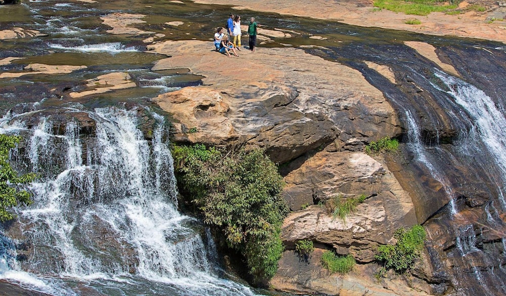 Elephant Valley Eco Farm Hotel 41/54