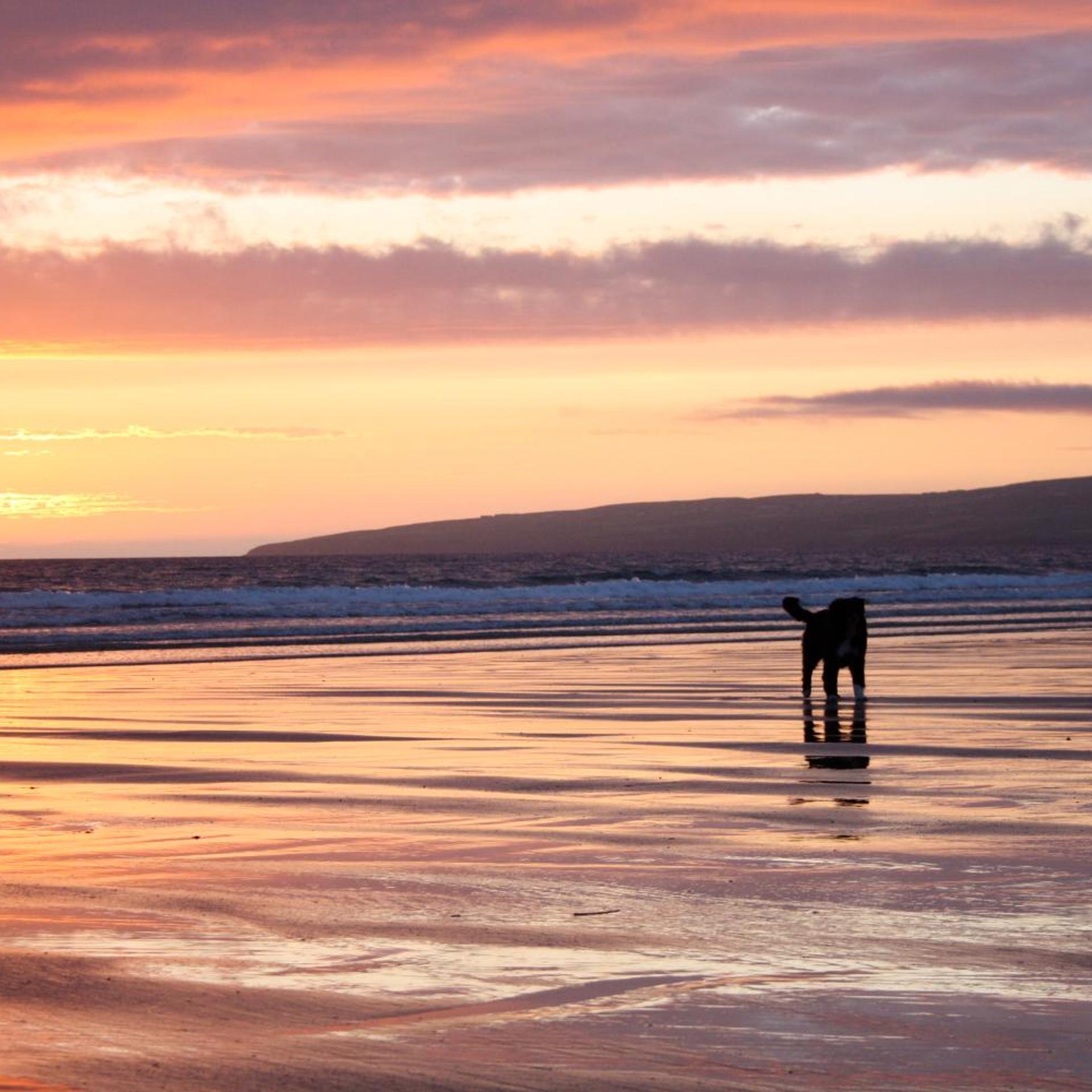 White Sands Hotel Ballyheigue 47/51