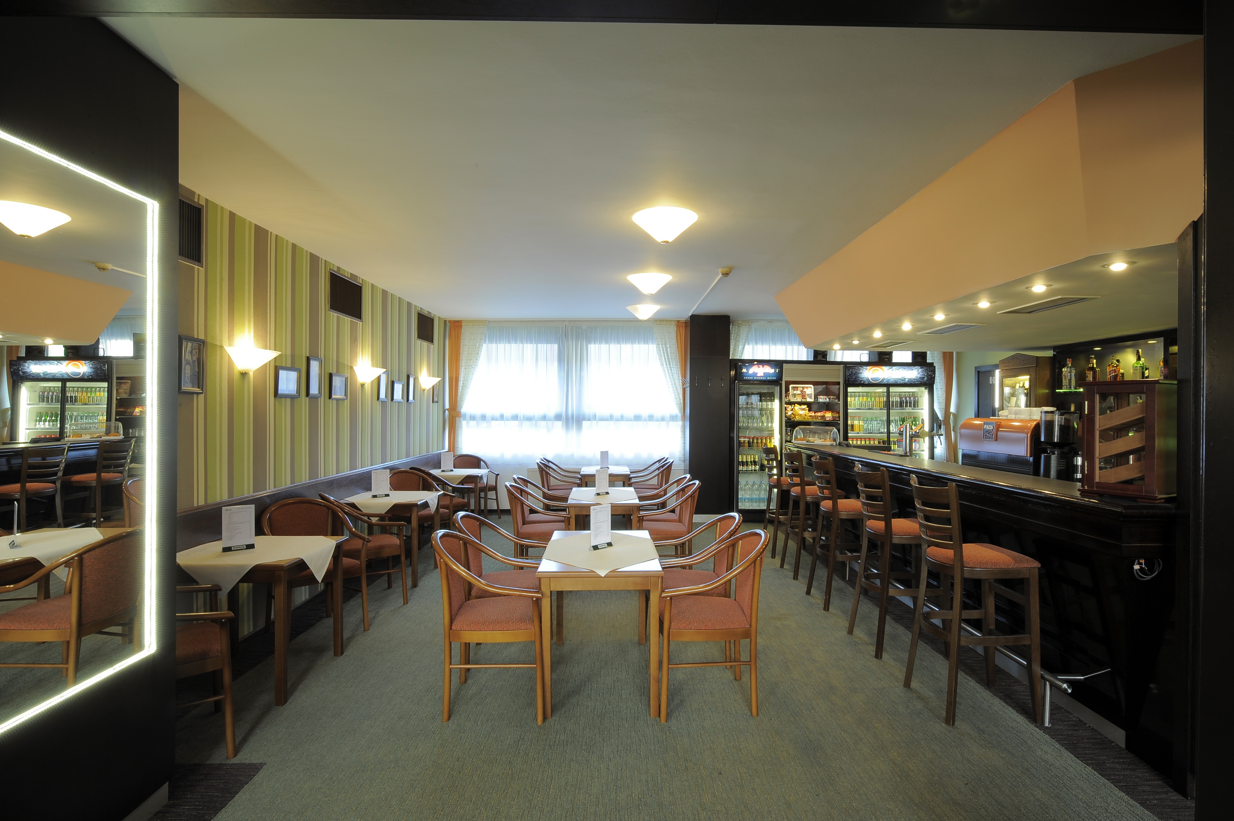 Congress and Wellness Hotel Olsanka Superior 32/42