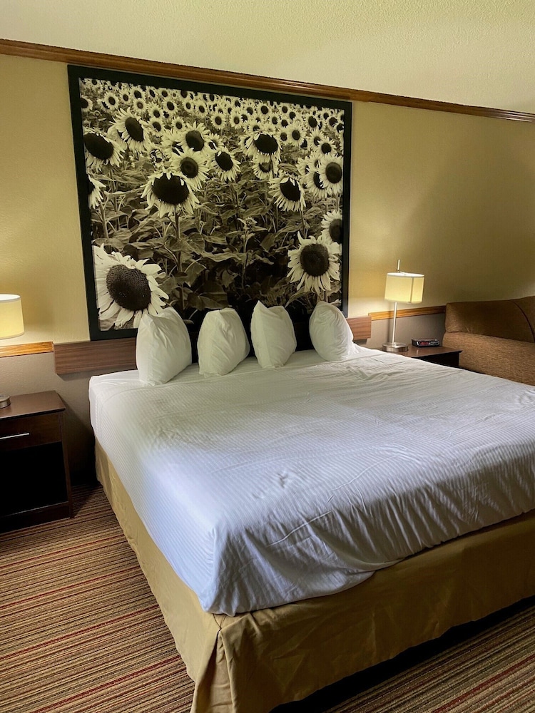 Efficiency, King and Queen Bed