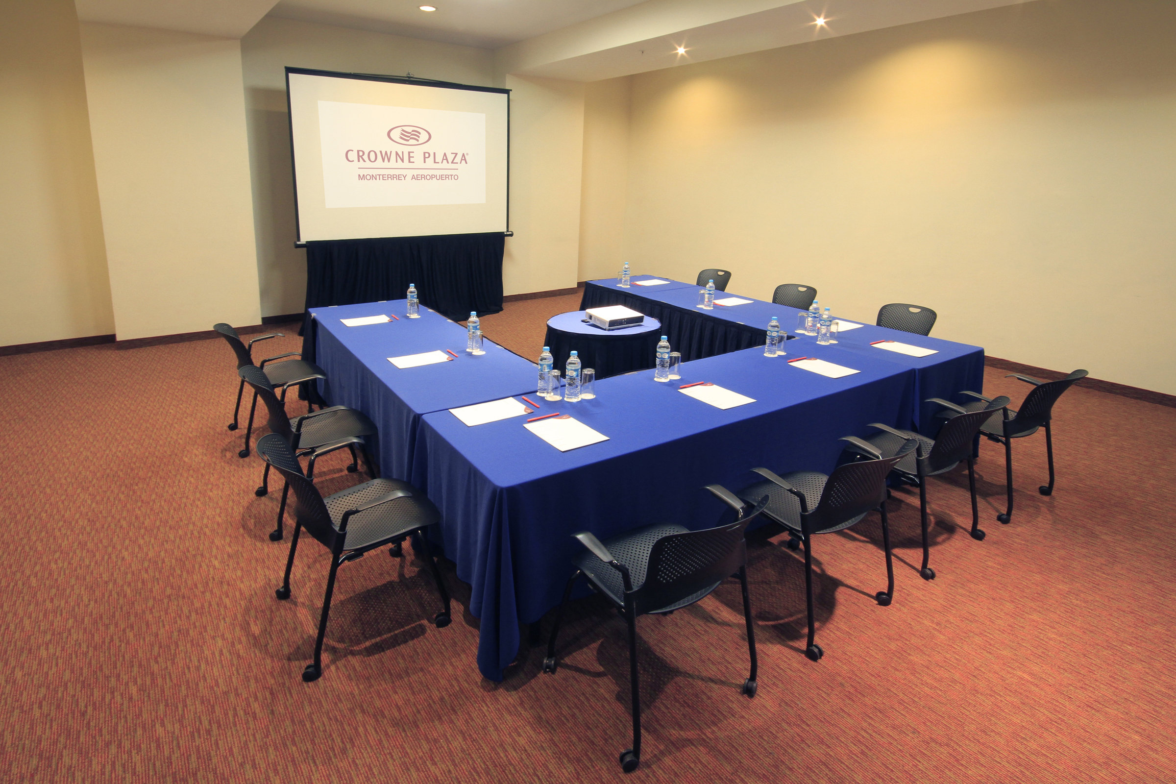 CROWNE PLAZA MONTERREY AEROPUERTO 64/75
