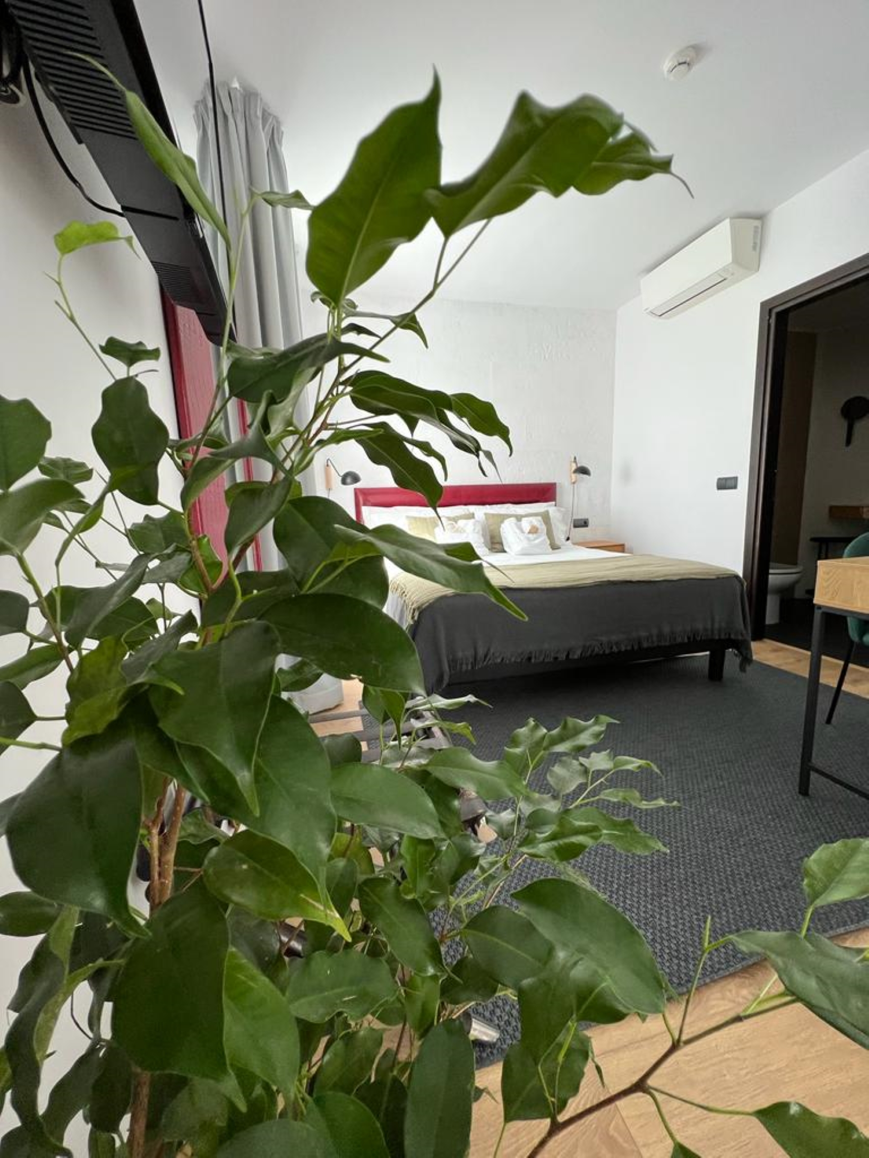 Hotel San Miguel 41/50