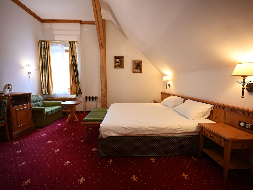Mercure Sighisoara Binderbubi Hotel And Spa 24/83