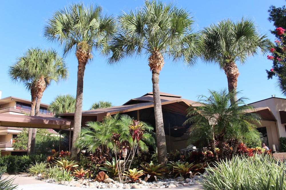 Rosen Inn At Pointe Orlando 43/50