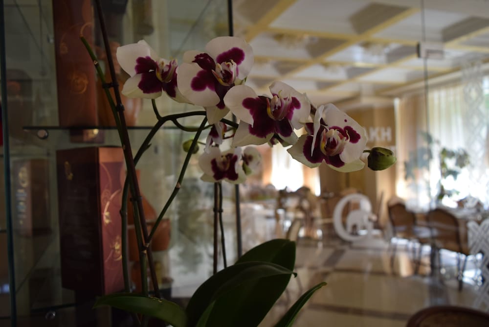 Artsakh酒店(Artsakh Hotel) 图片5