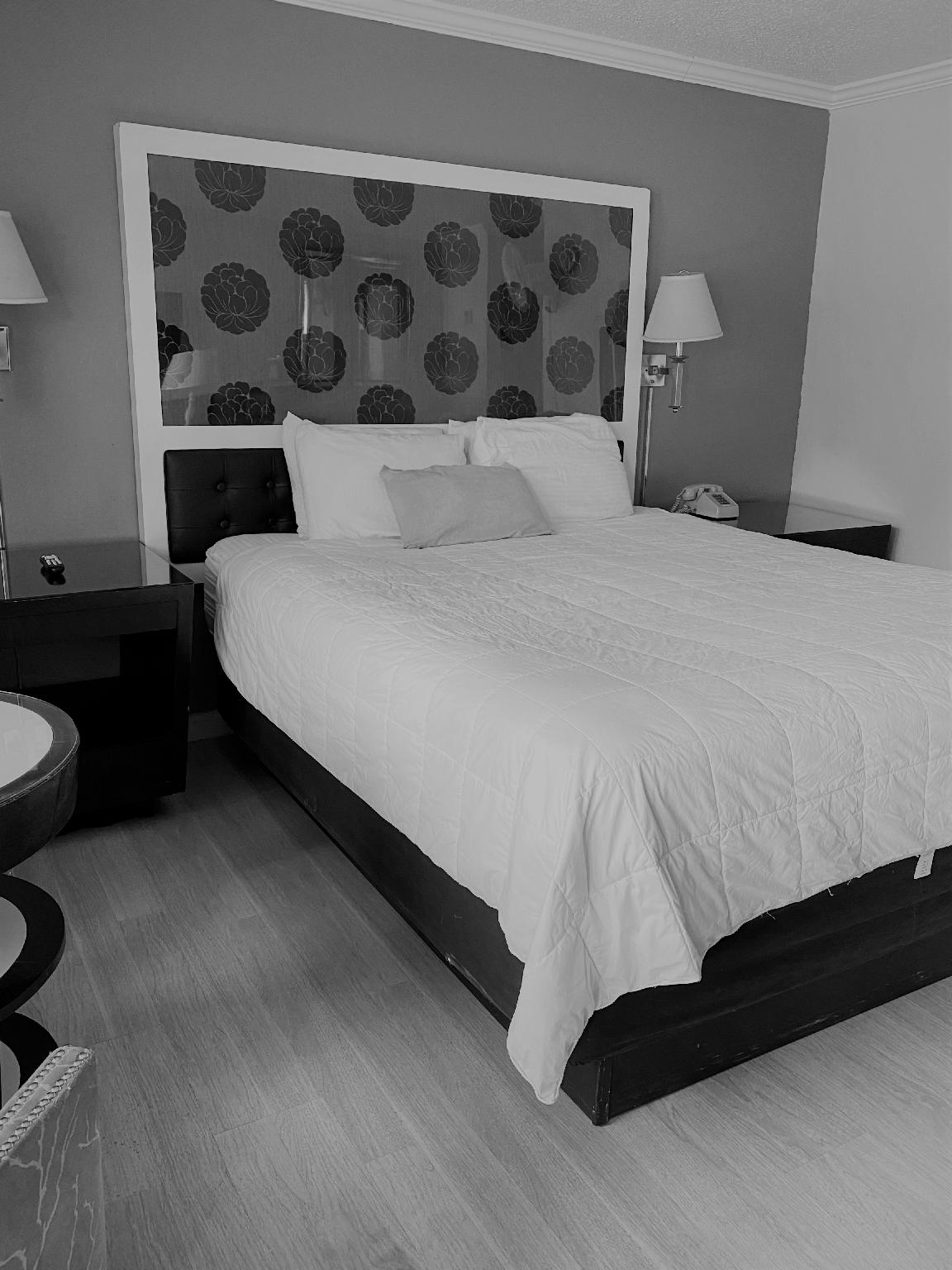1 Bedroom, Standard, Single
