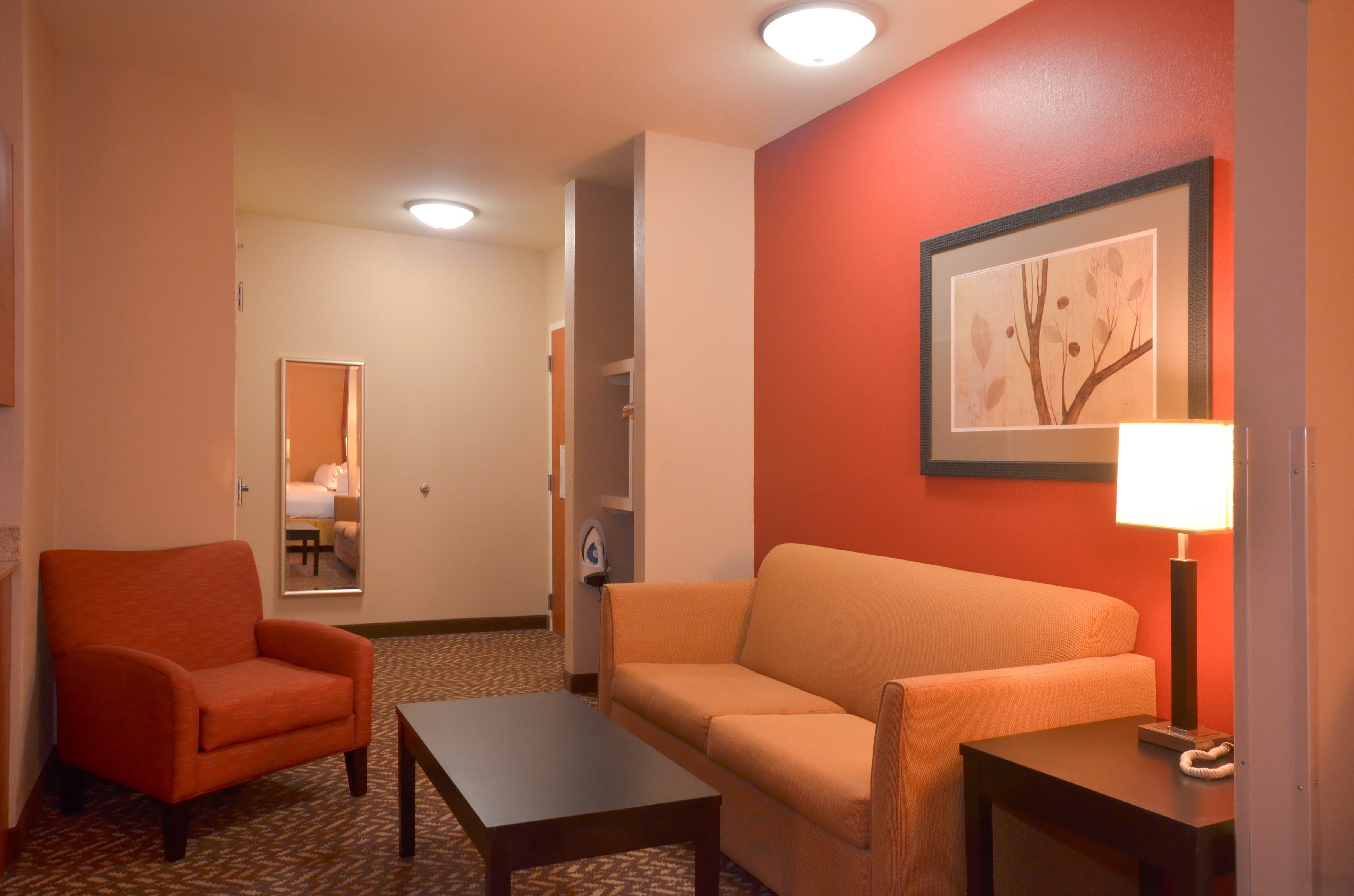 Holiday Inn Express Hotel And Suites Pine Bluff Pines Mall 39/54