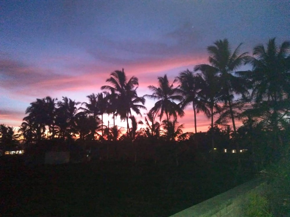 Paraiso Cottage Ubud 27/46
