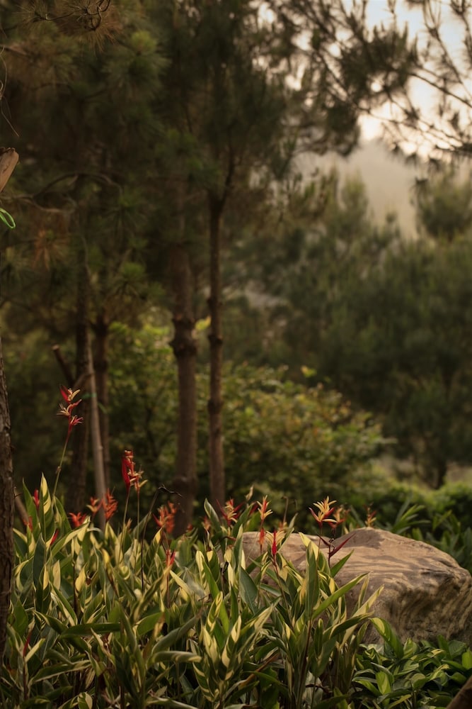 Rivana Retreat 36/46
