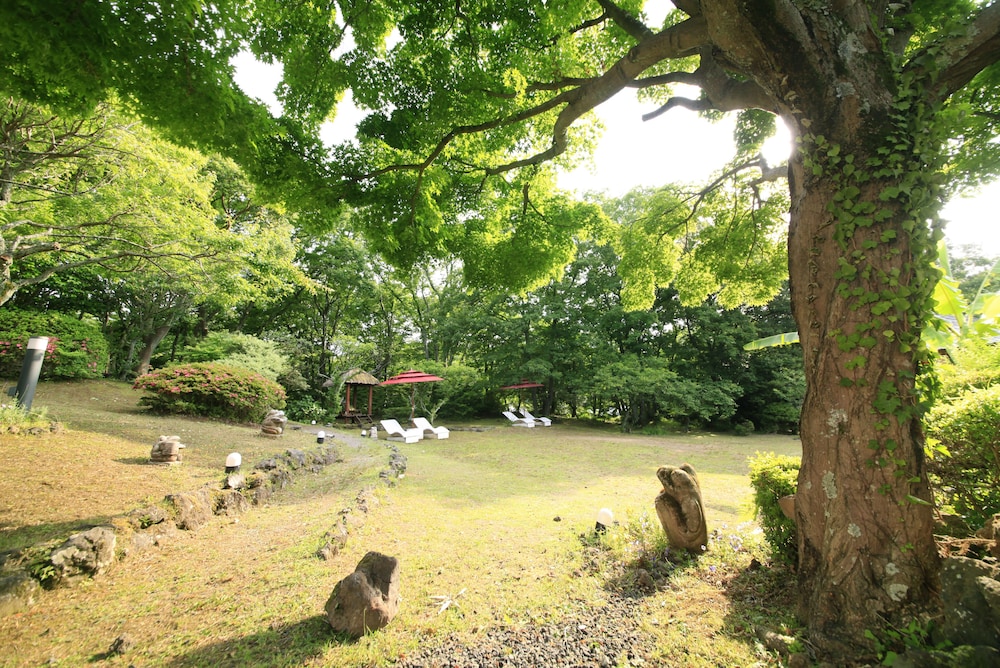 Andanomori Izu Ippekiko 30/40