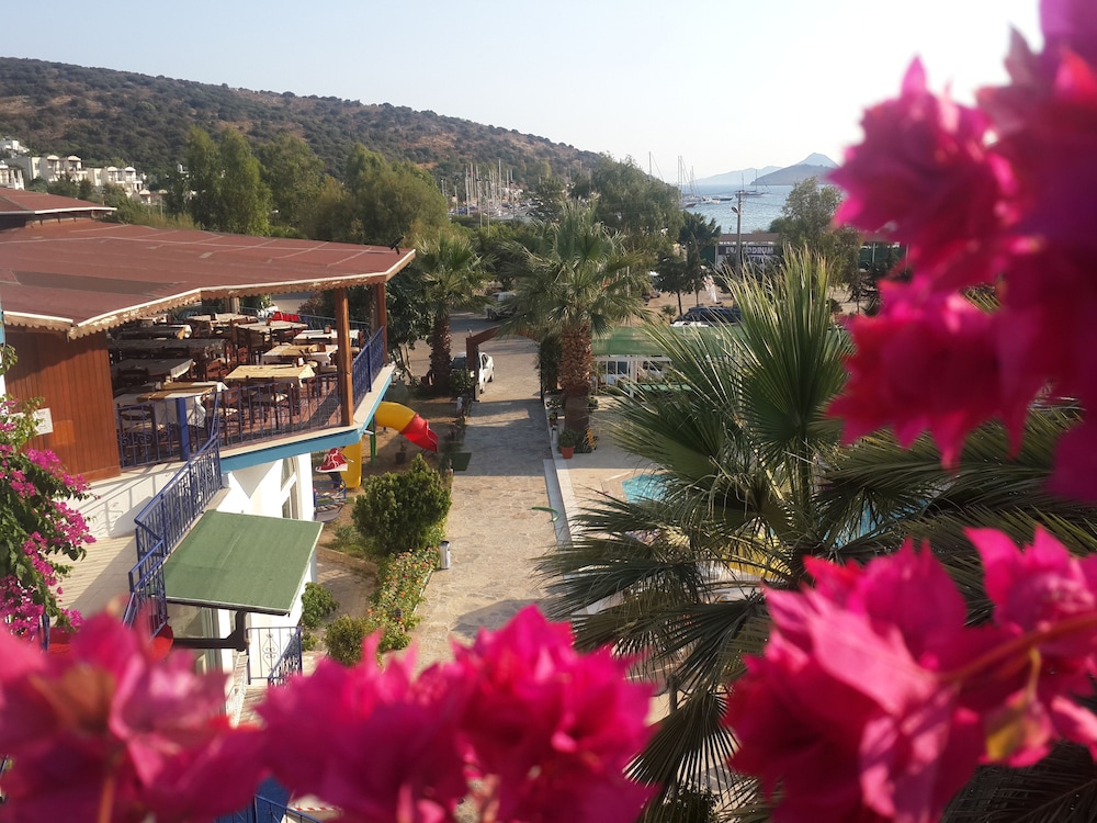 Chronos Beach Hotel 3/50