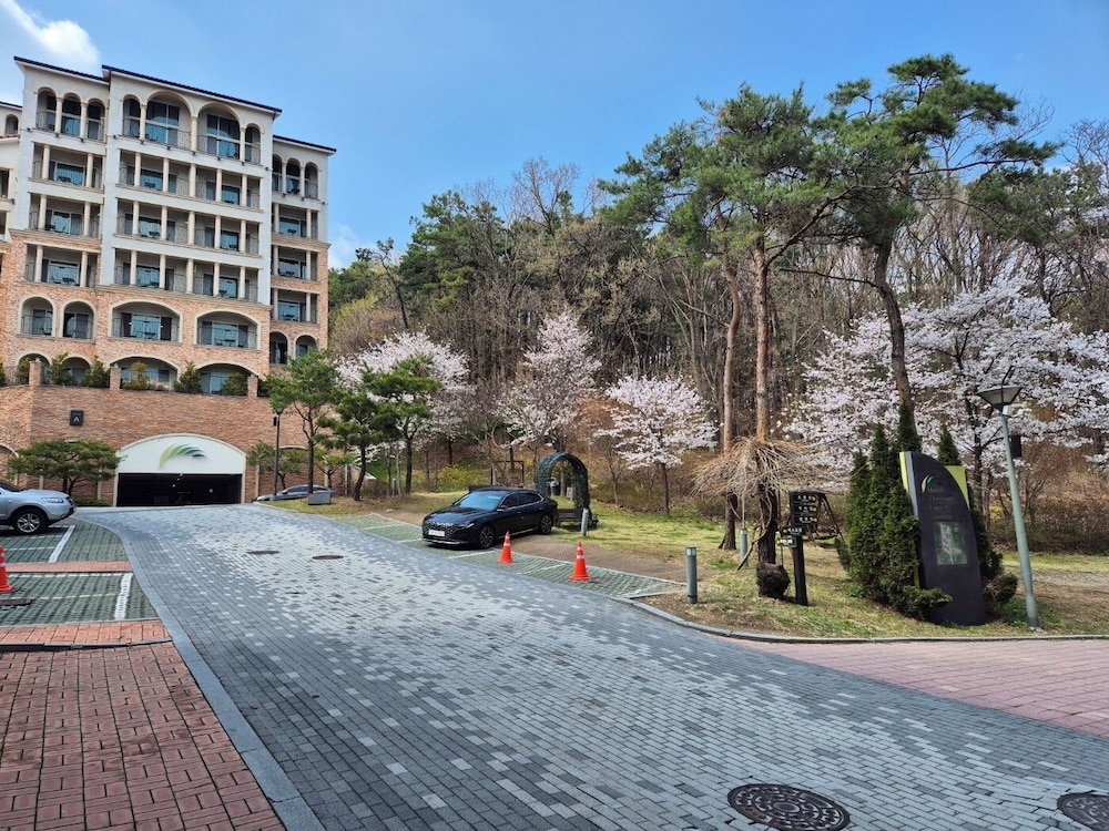 The Soom Forest Hotel 63/74