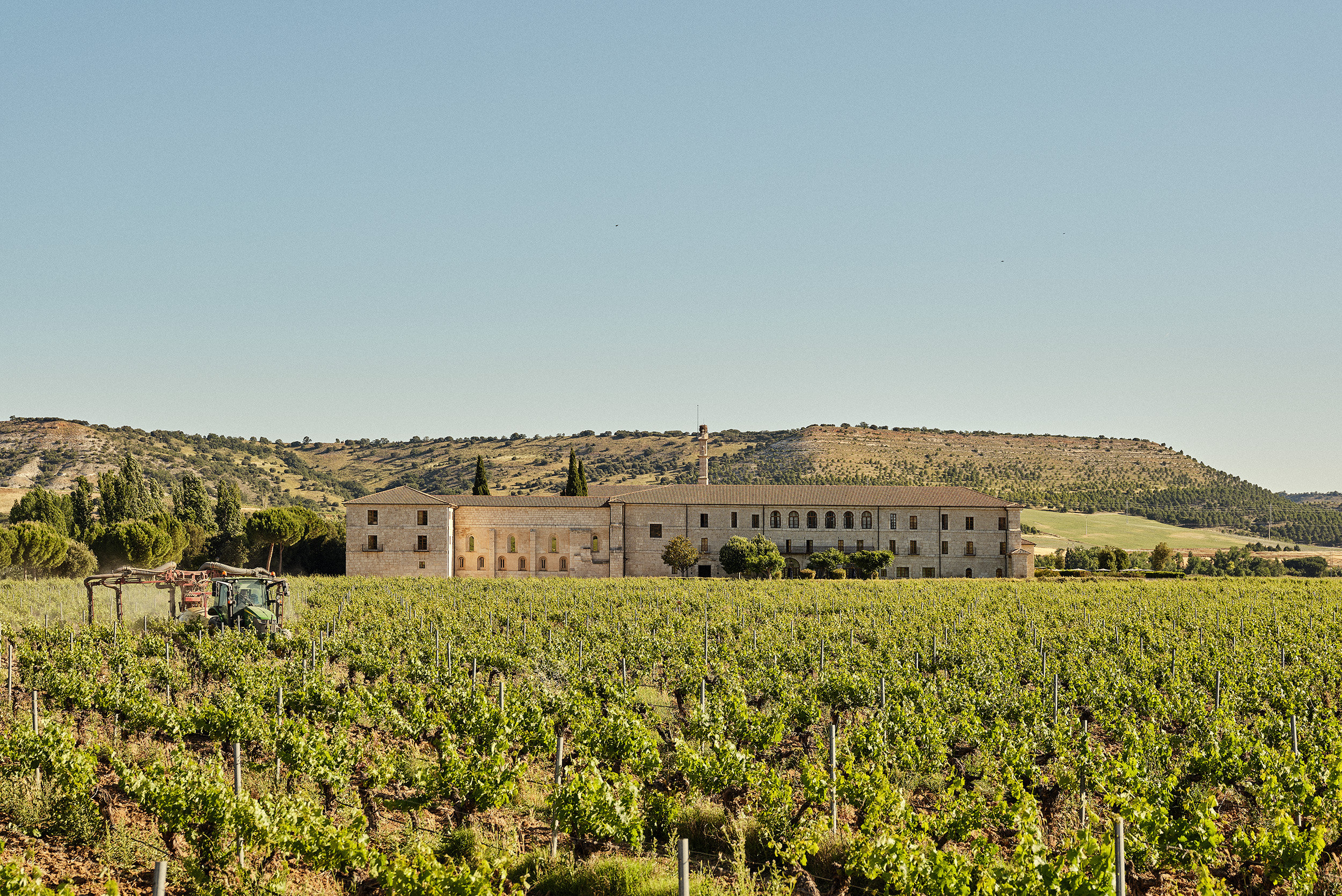 Abadia Retuerta LeDomaine 43/50