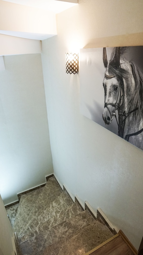 Petit Boutique Hotel 24/46