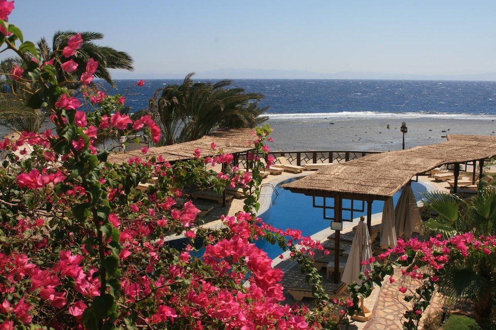 Nesima Resort 39/50