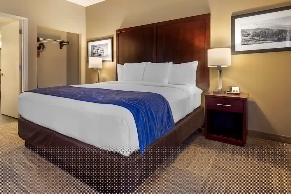 Comfort Inn & Suites Sea-Tac Airport 8/38
